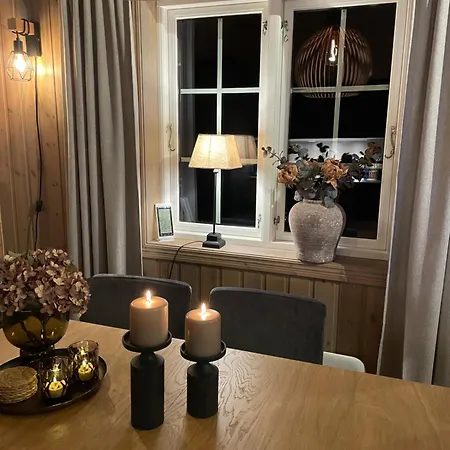 I Vakre 公寓 Rauland